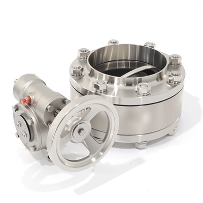 One-Piece Flanged Butterfly Valve with Stainless Steel Gear Operator